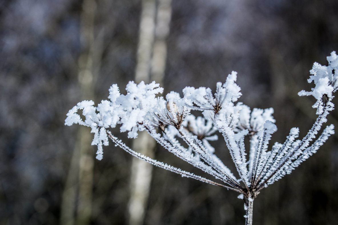 Invierno