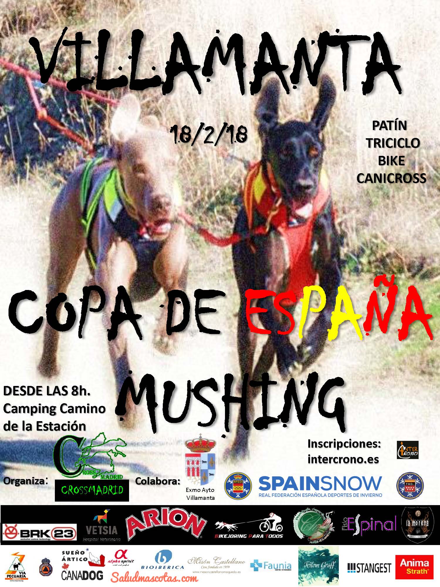 Copa de España de Mushing 18/12/18
