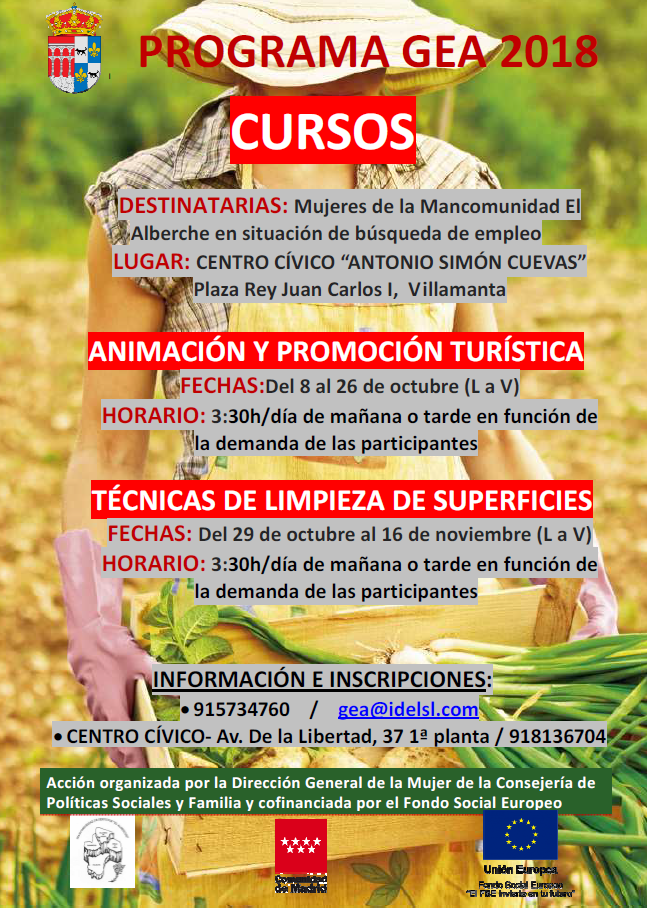 Cursos del programa